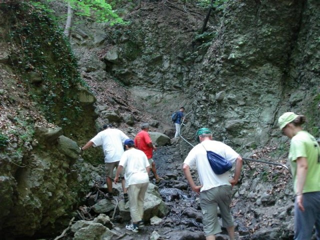 DSC05848 (Medium)